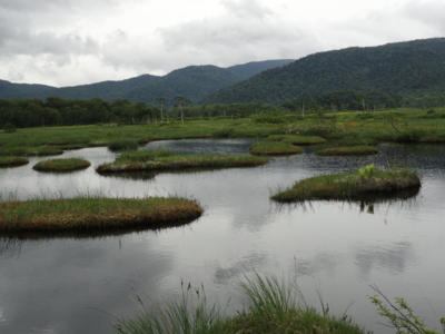 f:id:hatekota810:20110710061745j:image