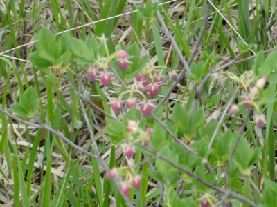 f:id:hatekota810:20110710062546j:image