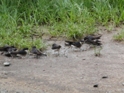 f:id:hatekota810:20110711194607j:image