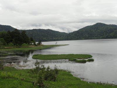 f:id:hatekota810:20110714051915j:image