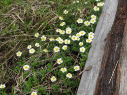 f:id:hatekota810:20110714052722j:image