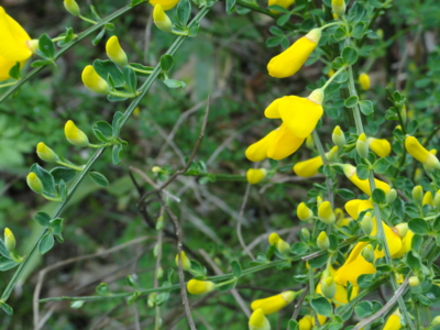 f:id:hatekota810:20110714063725j:image