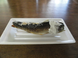 f:id:hatekota810:20110714064650j:image