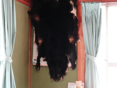 f:id:hatekota810:20110714065453j:image