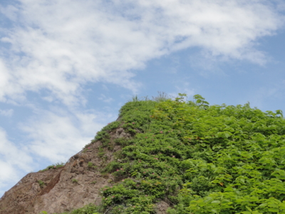 f:id:hatekota810:20110805194813j:image