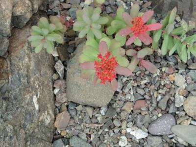 f:id:hatekota810:20110806192453j:image