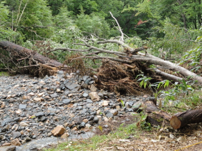 f:id:hatekota810:20110824194552j:image