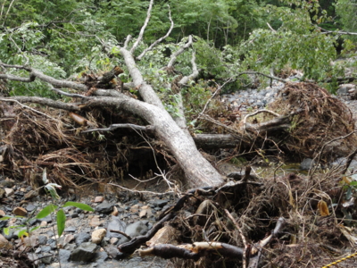 f:id:hatekota810:20110824194640j:image