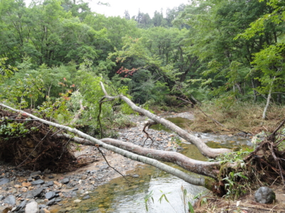 f:id:hatekota810:20110824194711j:image