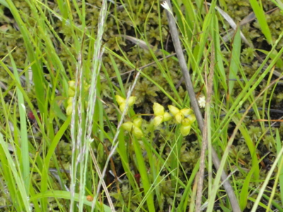 f:id:hatekota810:20110830195124j:image