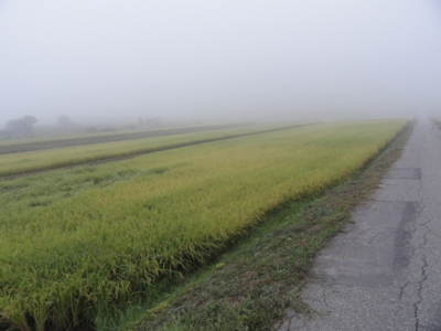 f:id:hatekota810:20110917053121j:image