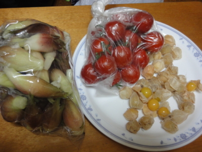 f:id:hatekota810:20110923053213j:image