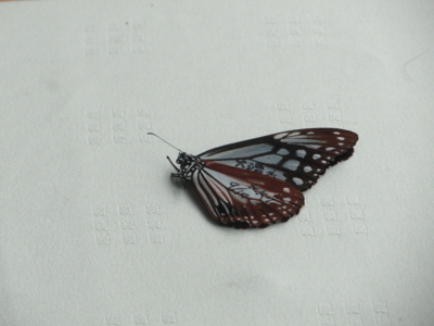 f:id:hatekota810:20110926193651j:image