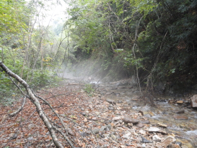 f:id:hatekota810:20110926194848j:image