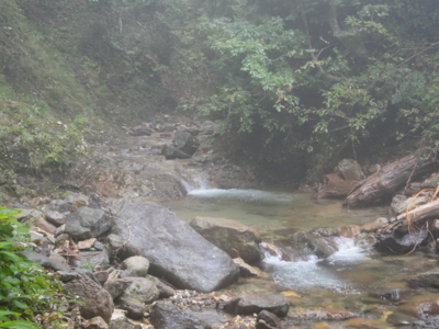 f:id:hatekota810:20110928194244j:image