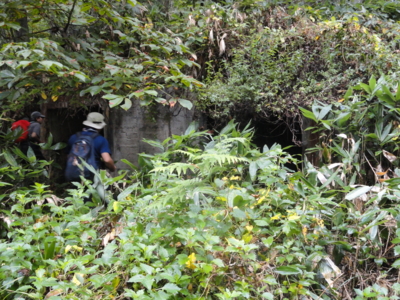 f:id:hatekota810:20111001162743j:image