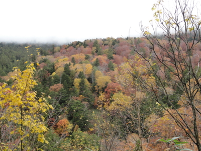 f:id:hatekota810:20111017060313j:image