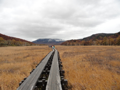 f:id:hatekota810:20111017060608j:image