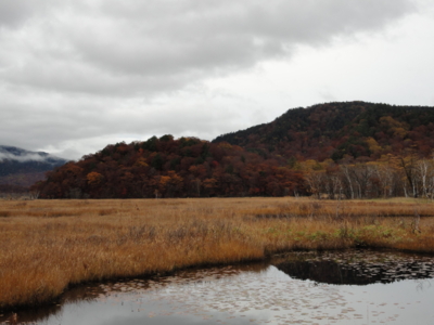 f:id:hatekota810:20111017061249j:image