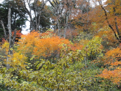 f:id:hatekota810:20111018192923j:image