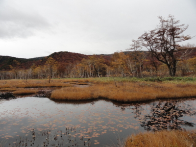 f:id:hatekota810:20111018194002j:image