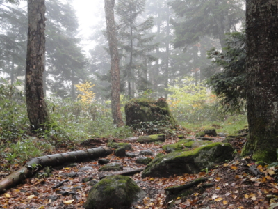 f:id:hatekota810:20111022202825j:image