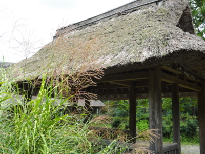 f:id:hatekota810:20111029051101j:image