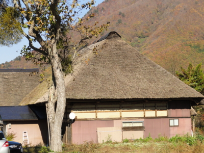 f:id:hatekota810:20111031192433j:image