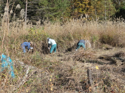 f:id:hatekota810:20111031193013j:image