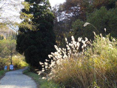 f:id:hatekota810:20111101213801j:image