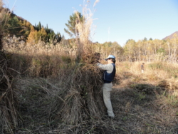 f:id:hatekota810:20111101214050j:image