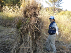 f:id:hatekota810:20111101214056j:image