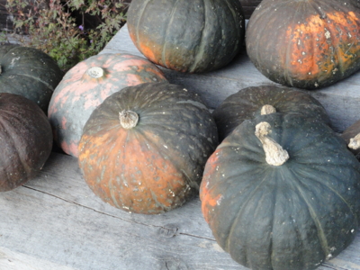 f:id:hatekota810:20111102195944j:image