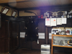 f:id:hatekota810:20111103200508j:image