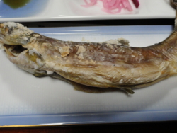 f:id:hatekota810:20111103201016j:image