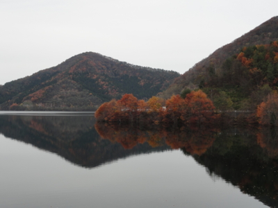 f:id:hatekota810:20111112071844j:image