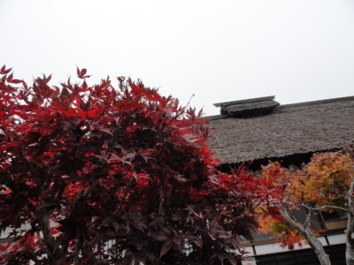 f:id:hatekota810:20111113150822j:image