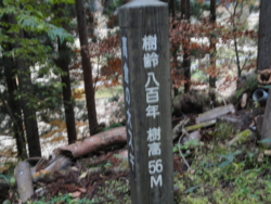 f:id:hatekota810:20111113151454j:image