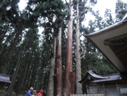 f:id:hatekota810:20111113151500j:image