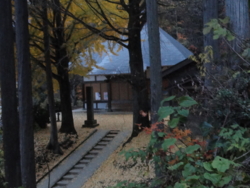 f:id:hatekota810:20111113151933j:image