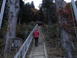 f:id:hatekota810:20111113151939j:image