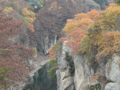 f:id:hatekota810:20111118201216j:image