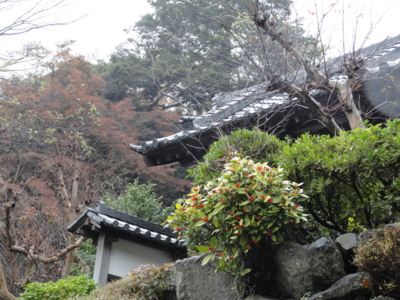 f:id:hatekota810:20111202200311j:image