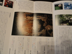 f:id:hatekota810:20111202200646j:image