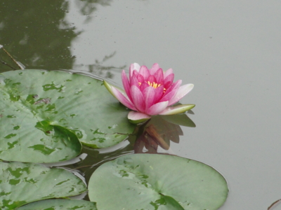 f:id:hatekota810:20111221204905j:image