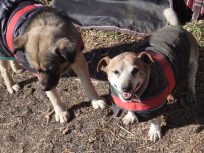 f:id:hatekota810:20120115061930j:image