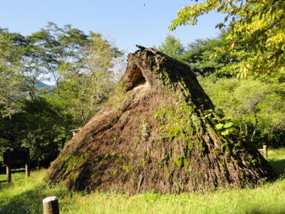 f:id:hatekota810:20120124195213j:image