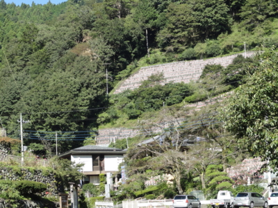 f:id:hatekota810:20120125203709j:image