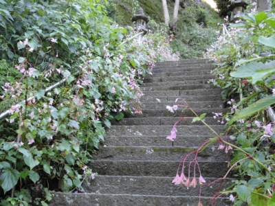 f:id:hatekota810:20120129072332j:image