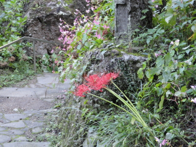 f:id:hatekota810:20120129072446j:image